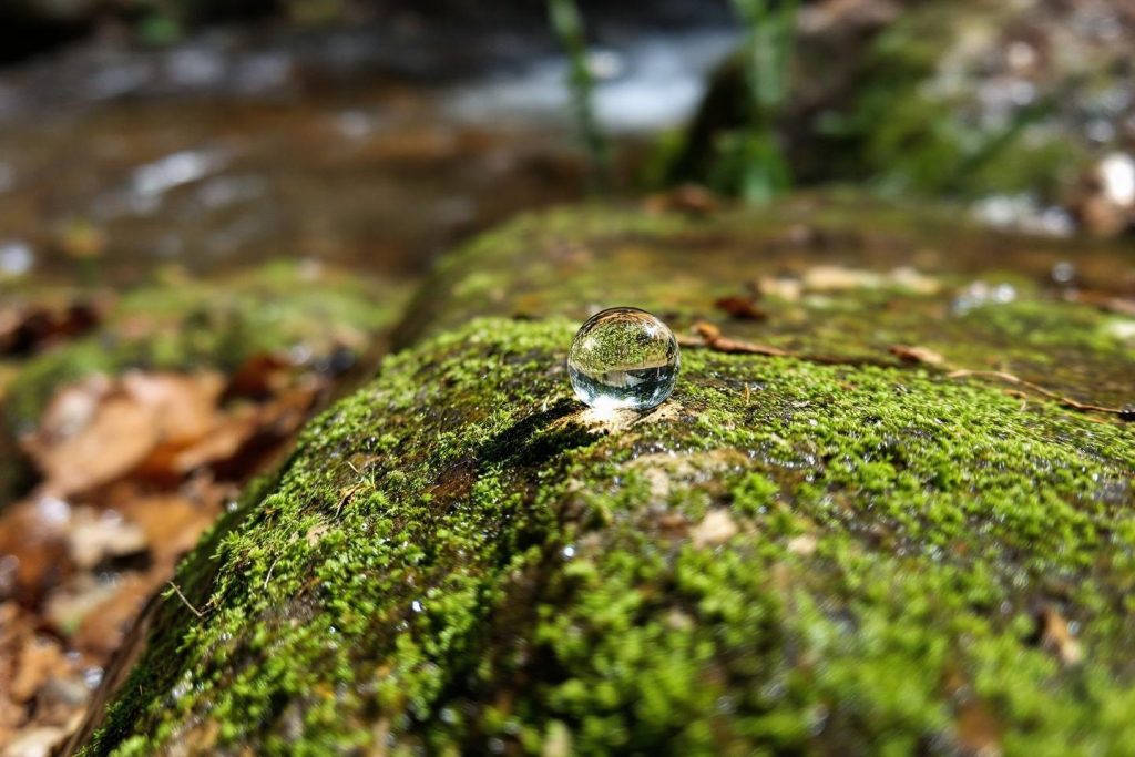 où se trouve l eau la plus pure